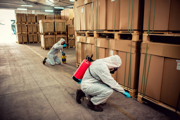 Best Bed Bug Extermination  in Pickens, MS