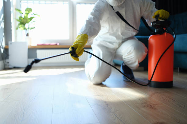 Best Best Pest Control Companies  in Pickens, MS