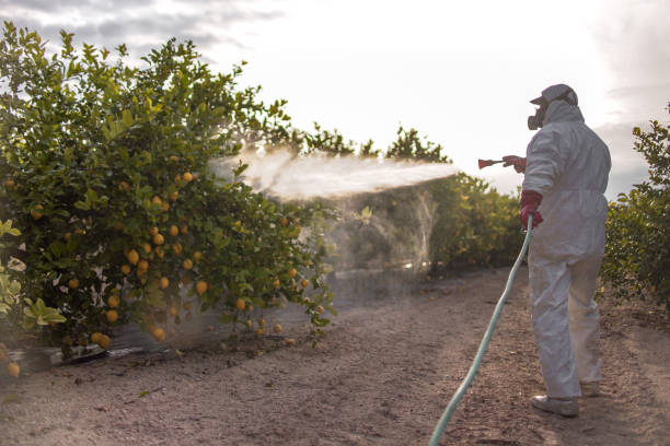 Pickens, MS Pest Control Company
